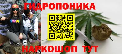 spice Бузулук