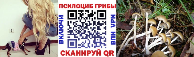 Галлюциногенные грибы MAGIC MUSHROOMS  Десногорск 