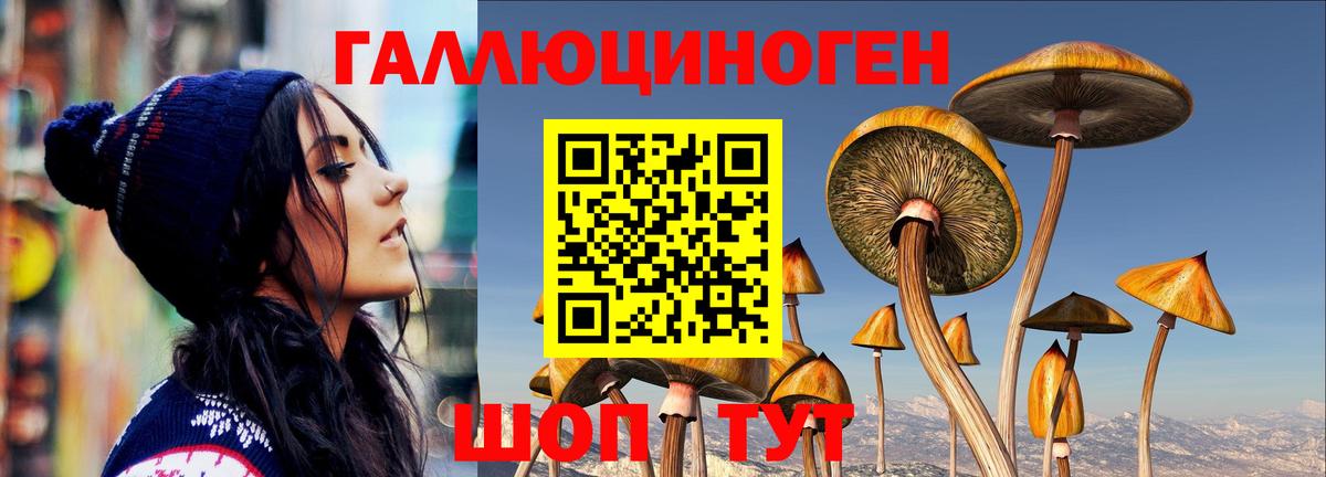 Псилоцибиновые грибы прущие грибы Десногорск