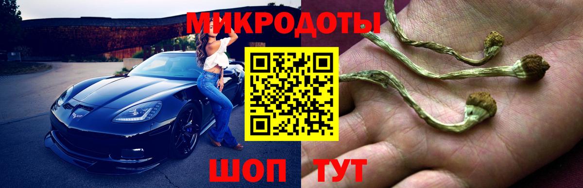 Десногорск  Псилоцибиновые грибы мицелий  Вход с VPN  Псилоцибиновые грибы мухоморы 